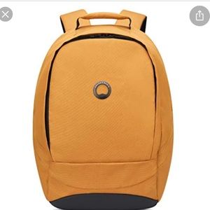 Delsey Backpack